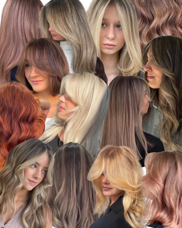 Signature Shades - ART. 447
.
.
.
#HairColorArt #BlondeSpecialist #BrunetteBeauty #CopperHair #LivedInColor #GlossyHairGoals 
#HairByProfessionals #ColorMelt #HairInspo #FreshHairColor #HairMagic #IGHair #HairFeed 
#AmsterdamHair #AmsterdamSalon #Art447 #HerengrachtHair #AmsterdamHairstylist 
#HairLovers #BehindTheChair #HairStylistAmsterdam #HairTrendAlert #HairstyleInspo 
#HairGameStrong #ColoristLife #BalayageExperts #SoftBlends #TonerTouch #HealthyHairLooks #CustomColor​⬤